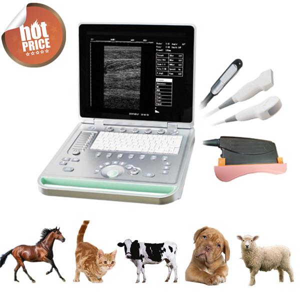 Digital 15 inch LCD notebook Vet Ultrasound scanner machines with bulit in battery ,laptop animal body scanner
