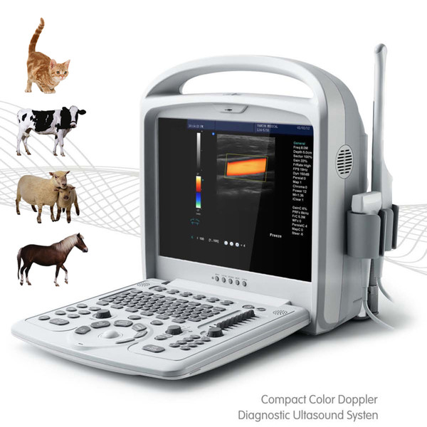 New animal system A6 VET, ultrasound doppler with color, ultrasound scanner, veterinary ultrasound, laptop echo