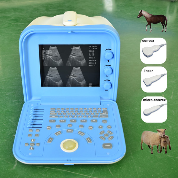 New! Portable Cheap Veterinary Ultrasound Machine with any two probes/ Dog Pig Sheep Cow Horse Pregnancy Test Ultrasound