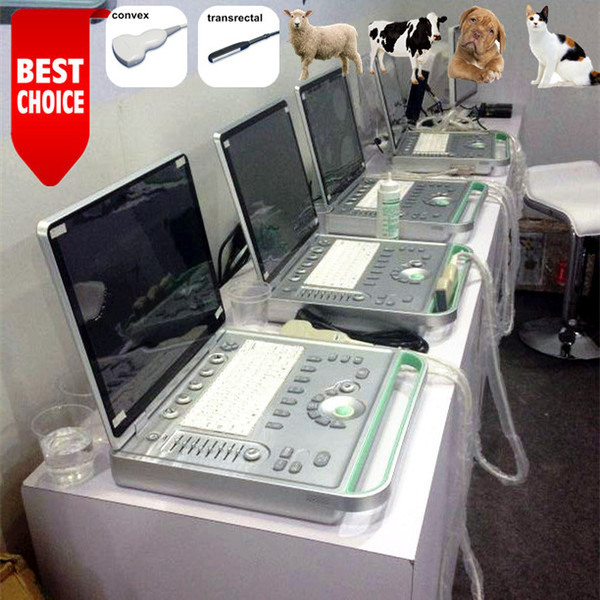 Built in battery animal ultrasound scanner,medical ultrasound trolley, veterinary echo micro-convex,portable ultrasound