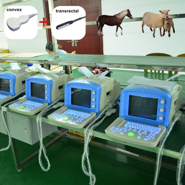 Any two probes animal Portable Ultrasonic Diagnostic Devices cheap veterinary Ultrasound scanner machine price, vet ultrasound, veterinario