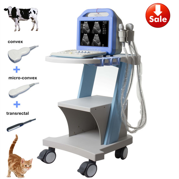 Three probes(convex+trans-rectal+micro-convex) pig horse cattle cat sheep cattle dog farm use animal ultrasound, veterinary ultrasound, vet