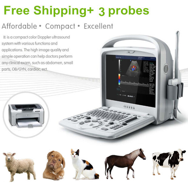 Animal ultrasound system A6 VET with three probes, ultrasound scanner with color, animal instrument