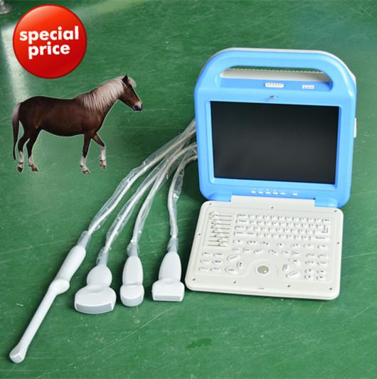 Animal ultrasound scanner&free shipping laptop veterinary ultrasound machine with two probes(convex+trans-rectal)