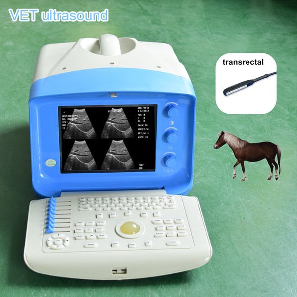 Pet Ultrasound Scanner veterinary, vet, animal pregnancy, equine, equine tendon, bovine, swine,feline, canine ultrasound with any one probe
