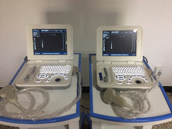 Notebook ultrasound machine price&portable handy scanner&notebook ultrasound+one probe&medical ultrasound box scanner