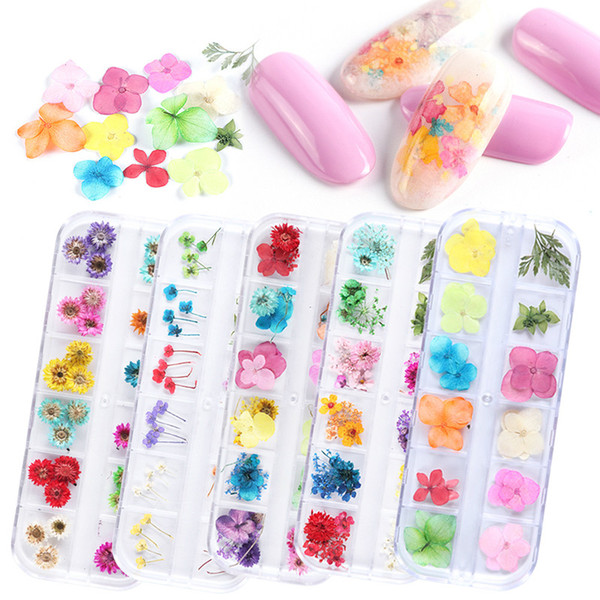 3 Box/set Summer Nail Dried Flower Real Floral 3D Nail Art Flower Decorations UV Gel Polish Natural Floral Slider Set Manicure