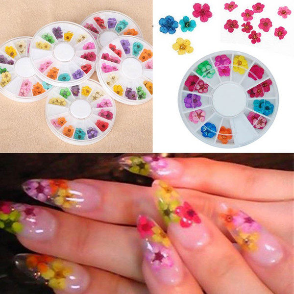 36Pcs Real Nail Dried Flowers Nail Art Decoration DIY Tips with Case Small Flowers Nails Rhinestones For Manicure Tools