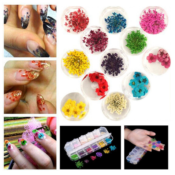 Nails Tools Rhinestones Decorations 12 Colors Real Nail Dried Flowers Nail Art Decoration DIY Tips with Case Small Flowers