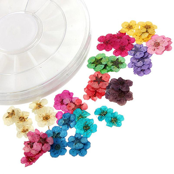 12 Colors Dried Dry 3D Flower Tips Nail Art Decoration Design Manicure DIY