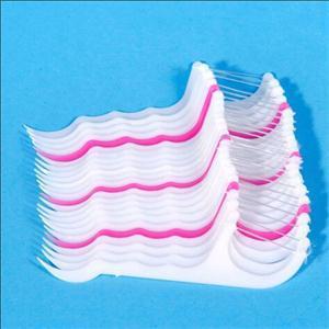 Wholesale-100pcs Interdental Brush Teeth Stick Tooth Picks Dental Floss