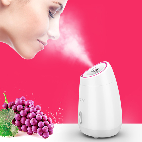 Fruit vegetable Facial Face Steamer household Spa beauty instrument nano spray water meter face whitening humidification