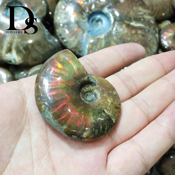 Natural Iridescent Ammonite Fossil Red Ocean Conch Rainbow Shell Specimen Madagascar MInerals For Gifts Wholesale Drop Shipping