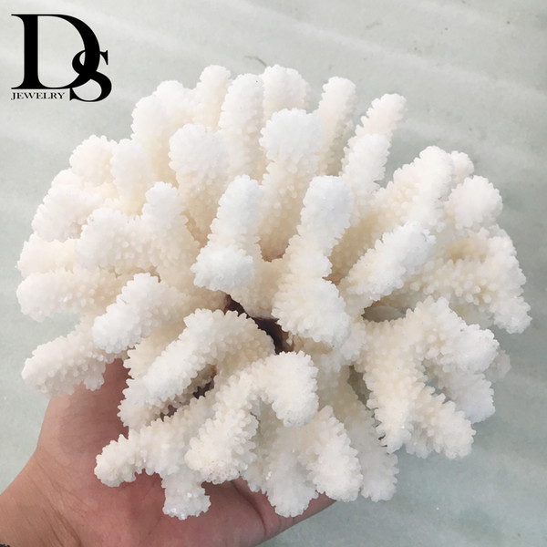 14-16cm 100% Natural Coral Sea White Coral Tree White Coral Aquarium Landscaping Home Furnishing Ornaments Home Decoration