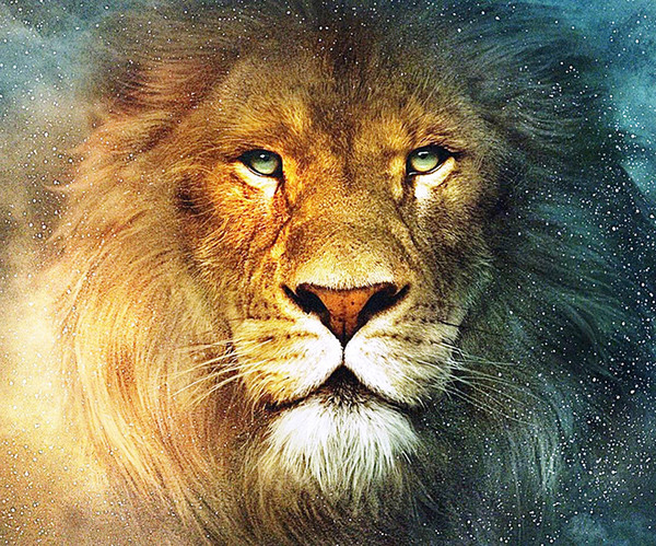 5D DIY Animal Abstract Lion Full of Diamond Painting Cross Stitch Kits Over drilling Home Decoration