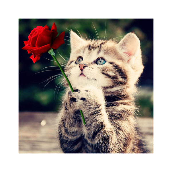 Naughty Kitten Cat Rose 5D Diamond Painting Cross Stitch Craft Home Decor Diamond Embroidery DIY Painting Cross Stitch