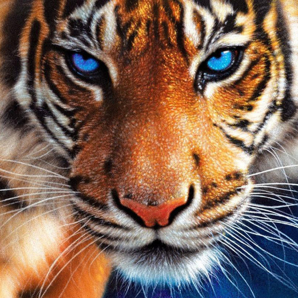 A2282 Tigerhead 20*20 5D DIY Diamond Embroidery Painting Home Decor Diamond Crossing stitch 100% Resin Tool dril Painting Mosaic Needlework