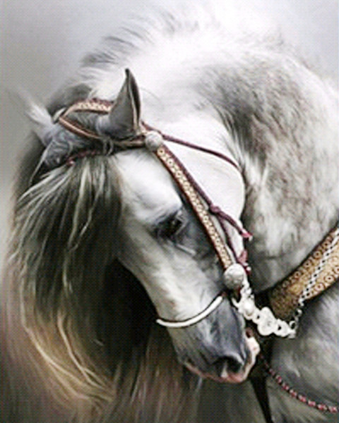 A1994 Horsehead 40*50 5D DIY Diamond Embroidery Painting Home Decor Diamond Crossing stitch 100% Resin Tool dril Painting Mosaic Needlework