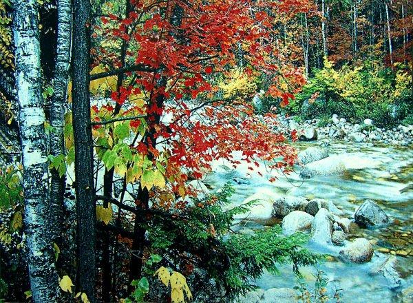 Free shipping different sizes fabric picture frame,wall gobelin tapestries, beautiful red Maple leafs beside river picture