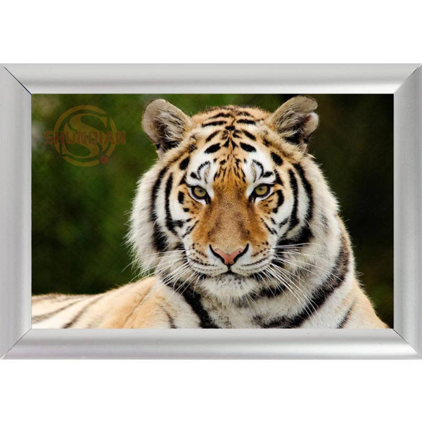 Silver Color Aluminum Alloy Picture Frame Home Decor Custom Canvas Frame Animal Tiger Canvas Poster F170112#128