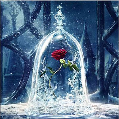 30*30cm Rose in Glass Cover 100% Full 5D Diamond Painting Kit Del Hog Home Decor Wall Art Square Diamond Craft Supplies