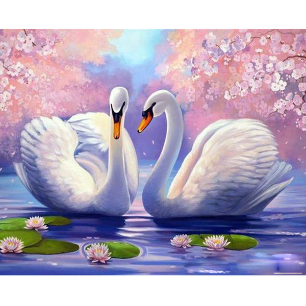 Hot sale double swans diy oil painting paint by number delicate color block 40cm * 50cm size no frame freeshipping wholesale beautiful photo