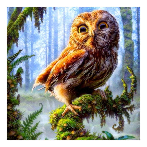 orest Owl Needlework Square Embroidery Diy Full Drill Diamond Painting Rhinestone Icon Decoration Painting Christmas Gift ZX