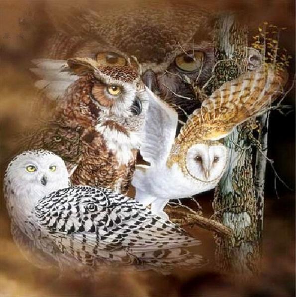 Indoor Home decor gift owl picture diamond painting NEW 5D diy Hand-painted Round diamond unfinished Cross Stitch Kit mosaic