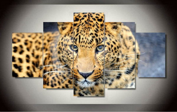 Unframed 5 Pcs Canvas painting of Leopard Home Decorative Art Picture Paint on Canvas Prints wall free shipping 2016 hot sale