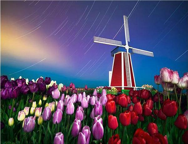 5D Diy diamond painting cross stitch kit rhinestone full square&round diamond embroidery flower tulip windmill home mosaic decor gift BB1483