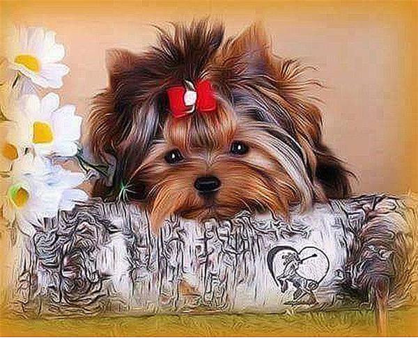New Diamond Embroidery needlework diy Diamond painting Cross Stitch Kits animal cute dog full round diamond mosaic Room Decor yx0276