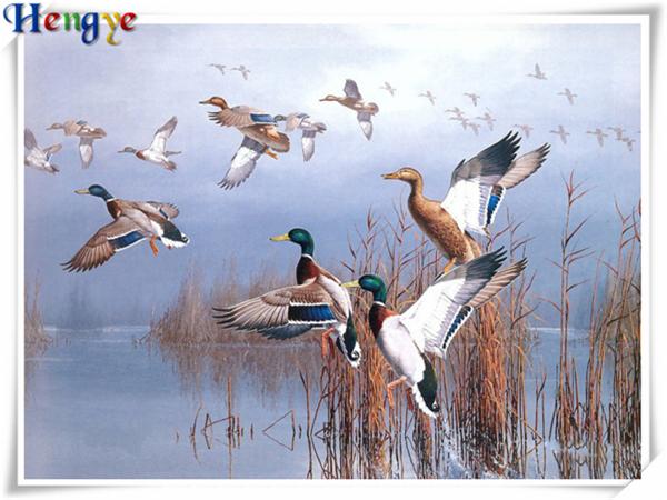 Diy diamond painting cross stitch kit rhinestone full square&round diamond embroidery animal Seagull lake home mosaic decor gift yx3192