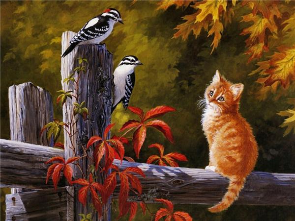 New needlework Diy diamond painting cross stitch kits full resin round diamond embroidery Mosaic Home Decor animal cute cat bird yx0627