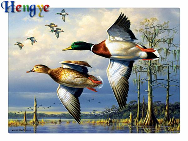 Rhinestone full round diamonds embroidery animal Seagull 5D diy diamond painting cross stitch kit home mosaic decor gift yx2286