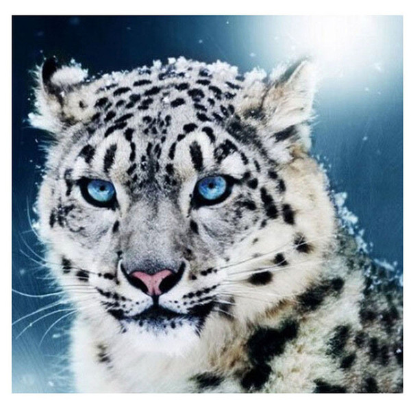 Black White Leopard 60x60cm New 3D DIY Diamond Painting Home Decoration Rhinestones Mosaic Diamond Embroidery Knitting Needles