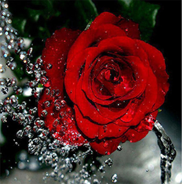 Diamond embroidery flower red rose diy diamond painting cross stitch kit resin full round diamond mosaic home decoration yx4110