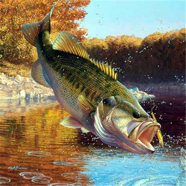 Diy diamond painting cross stitch kit rhinestone mosaic home decoration animal big fish painting full square diamond embroidery zxh490