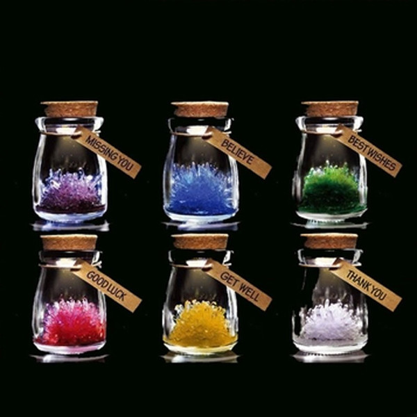 DIY Lucky Growing Crystal Wishing Bottle With Lamp 6 Designs Craft Gifts Valentine Day Party Gift 10 Pieces DHL