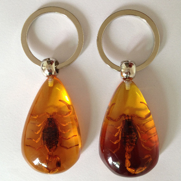 Creative Insect Amber Keychain Car Crystal Insect Keyring Outdoor Fashion Key Ring Birthday Gifts Accessories For Man Women DBC DH1009