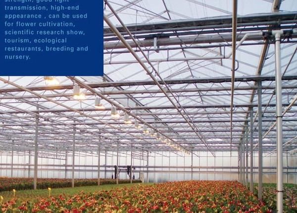 Aluminum frame agricultural tempered glass greenhouse commercial.commercial large agricultural glass greenhouses with insulated tempered