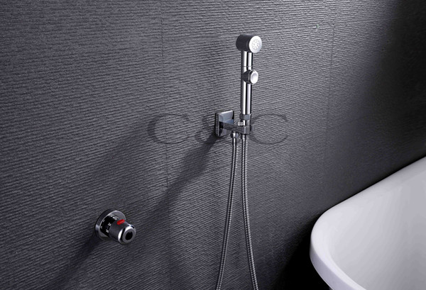 Single Handle Thermostatic Chrome Portable Shattaf Bidet Diaper Sprayer A701D