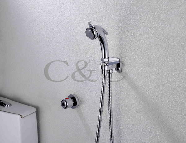 Multifunctional Thermostatic Pet Cleaner Wall Mounted Chrome Portable Shattaf Bidet Gun A801D