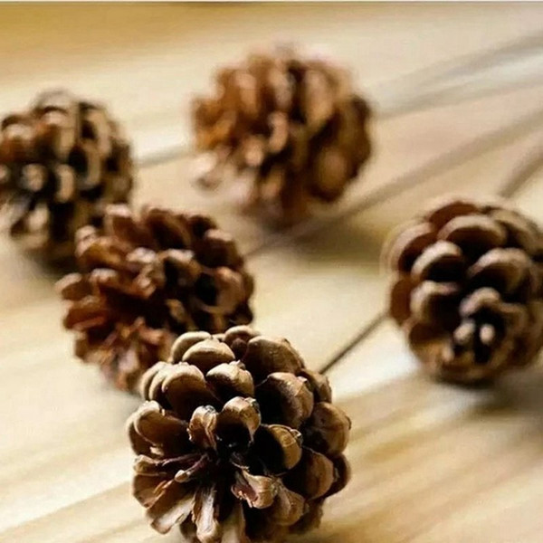 10pcs Christmas Tree Hanging Balls Pine Cones Pinecone Xmas New Year Holiday Party Decoration Ornament For Home Parties Supplies