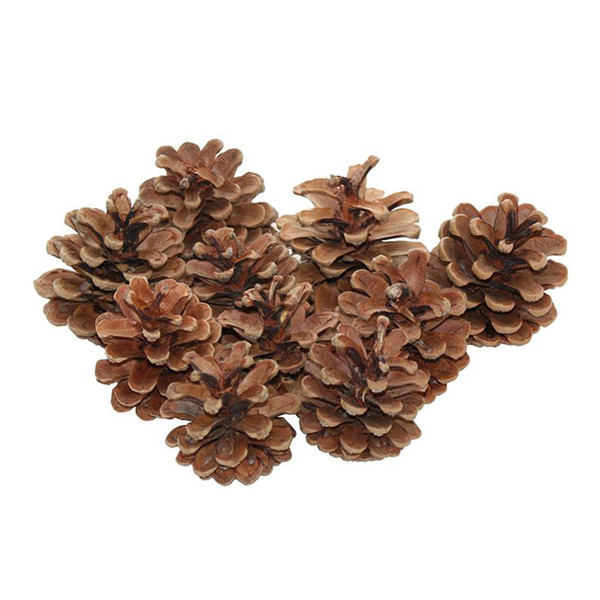 48pcs Natural Dried Pine Cones Christmas Hanging Ornament Decoration Pendants (Brown)