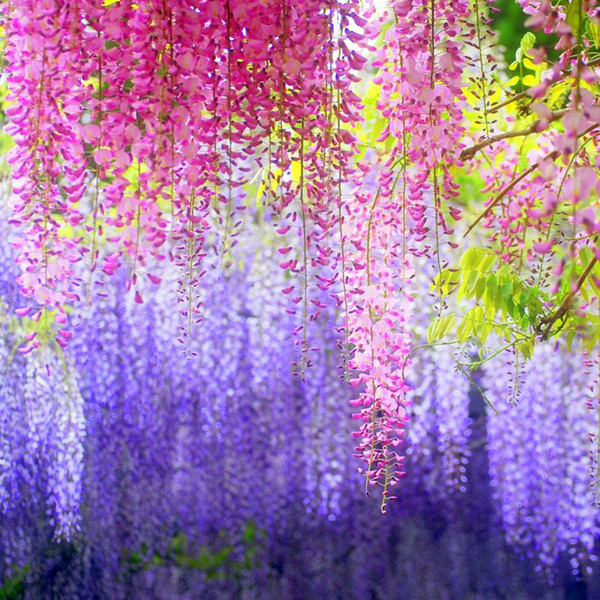 12pcs/lot 110cm Artificial Flower String Hanging Plant Silk Wisteria Fake Wedding wall Home Garden valentine's day Decoration C18111501