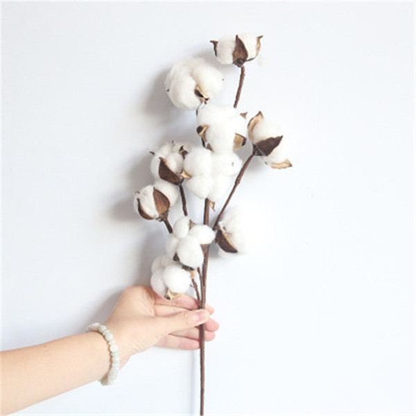 10 Heads Natural Cotton Branches Artificial Flowers Manufacturers Home Decoration Wedding Bouquets Flowers Plant Wall Fake Flowers H141