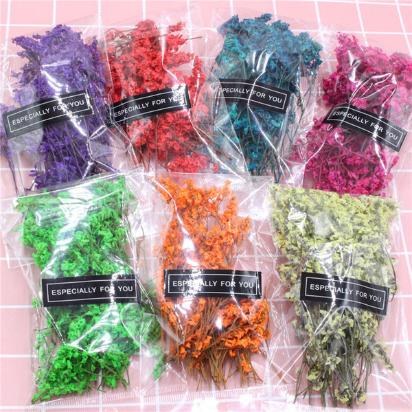 1 Bag Real Pressed Dried Flowers Colored crystal grass Floral Plants Embellishments For DIY Scrapbooking Card Making Art Craft Decoration