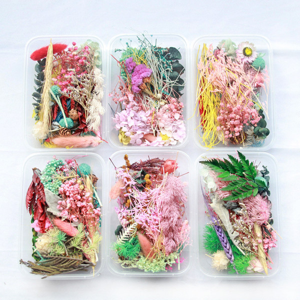 1 Box Real Dried Flower Dry Plants For Aromatherapy Candle Epoxy Resin Pendant Necklace Jewelry Making Craft DIY Accessories
