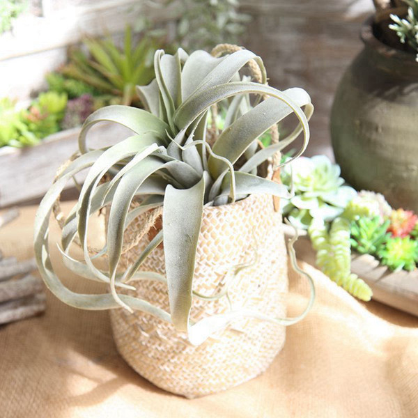 Artificial succulents Plants Grass Artificial Plant Latex Landscape Fake Flower Arrangement Garden Decoration Home Office party decoration