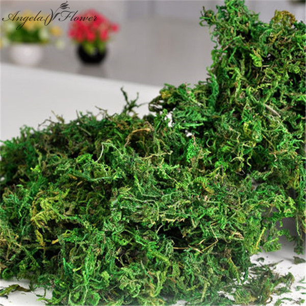 500g/bag Keep dry real green moss decorative plants vase artificial turf silk Flower accessories for flowerpot decoration